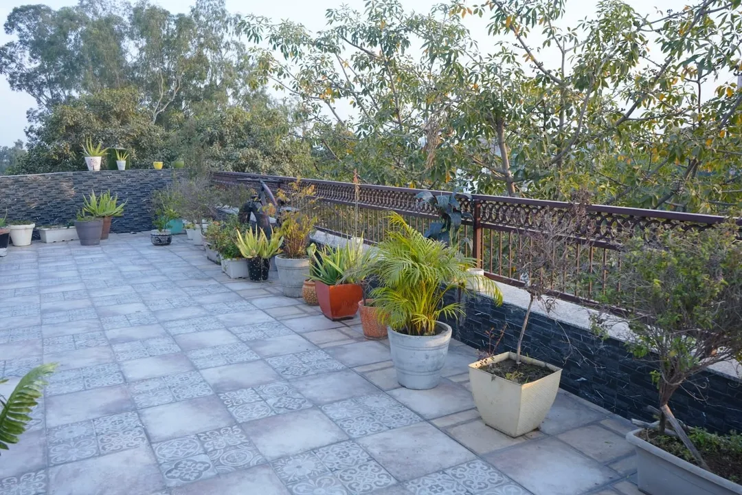 best 5 star hotels in hotel lotus inn delhi