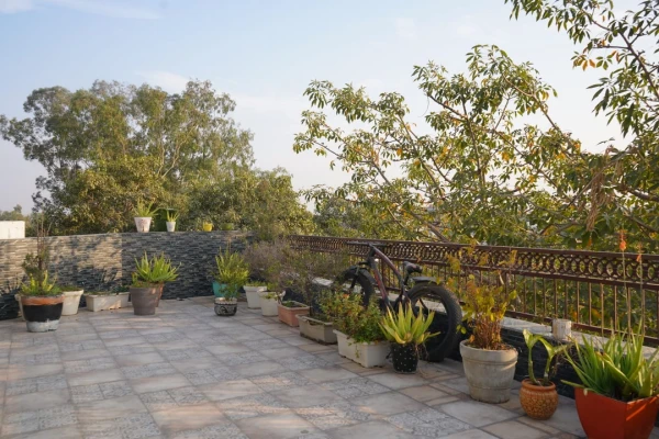 hotel stay in hotel lotus inn delhi