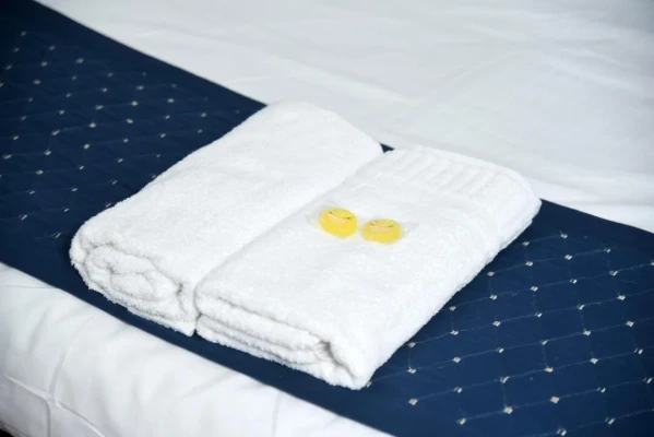 hotel with gym in janakpuri, delhi - hotel orchid inn