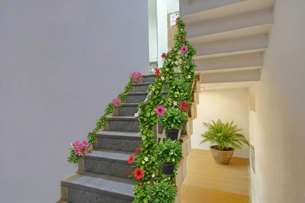 hotel room booking in rohini, delhi - hotel raaso inn rohini