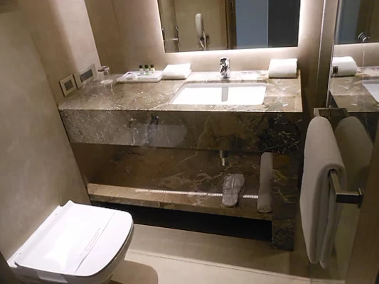 hotel in saket, delhi for couples - hotel saket 27