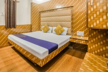 5 star hotels in hotel silver delhi