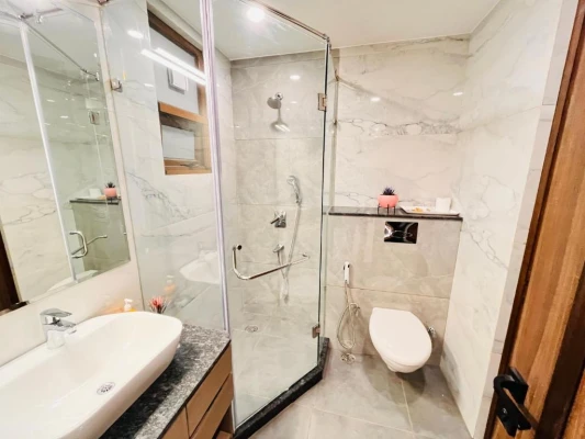 star hotels in hotel south ex residency delhi
