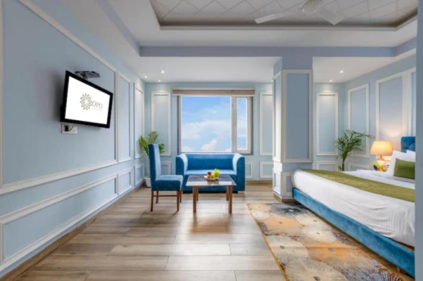 night stay hotels in hotel stanley - near delhi airport delhi