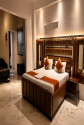 luxury hotels in hotel swisston palace delhi