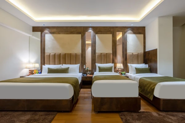 hotel near delhi airport - hotel venus plaza
