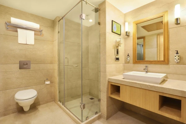 hotel near delhi railway station - lemon tree hotel delhi airport