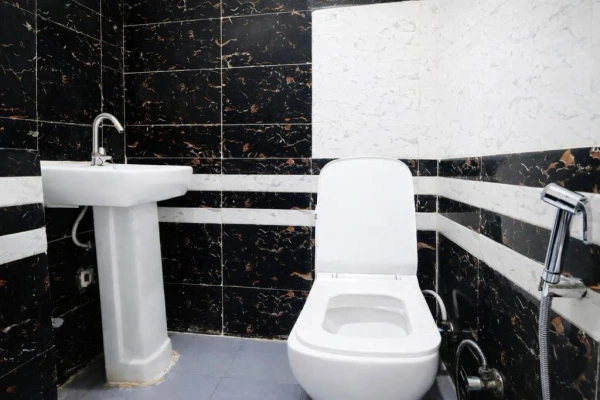 budget hotels in mauryan express hotel lajpat nagar delhi