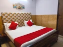 best hotels in metro park delhi