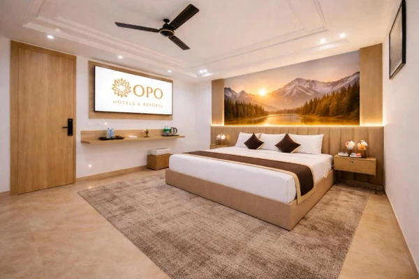 3 star hotel in mahipalpur, delhi - opo horizon vertu