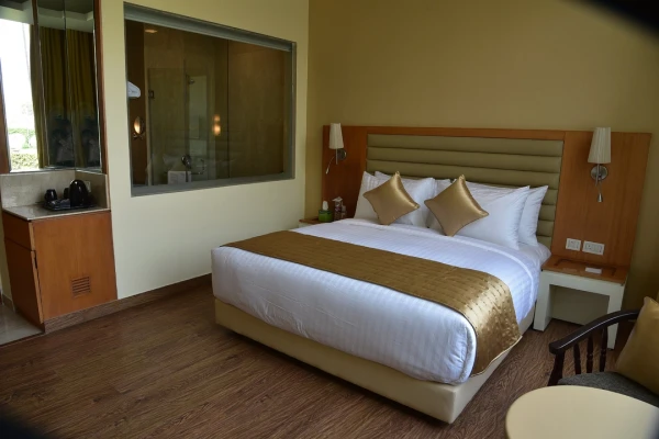 hotel near delhi airport - opulent chattarpur by ferns n petals