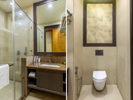 best day stay hotels in palm green hotel delhi