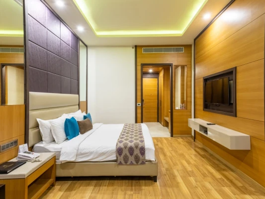 business travel hotels in palm green hotel delhi