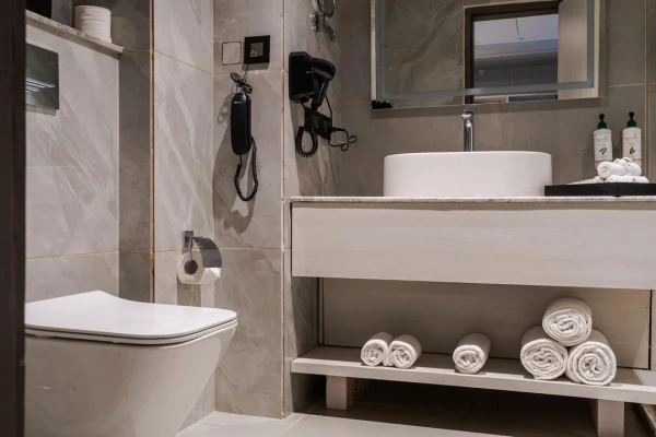 hotel near delhi airport - udman hotels and resorts