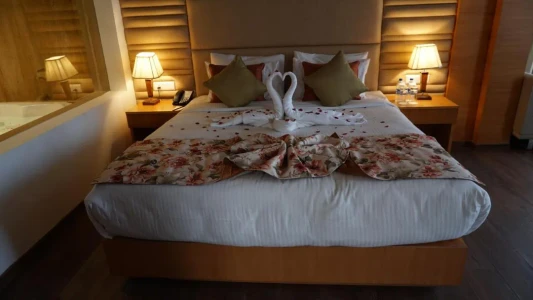 shimla road, dharampur hotel booking - the fern surya resort