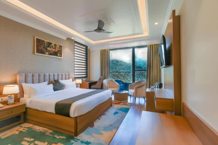 hotel with meeting room in mcleod ganj, dharamshala - alivaa hotel mcleodganj