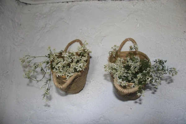 homestay in colva beach, goa for a week - casa yolanda