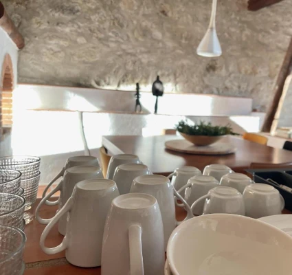 pet friendly homestay in colva beach, goa - casa yolanda