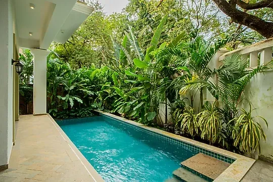 online room booking in assagao, goa - elivaas amado villa euphoria 4 bhk villa with private pool in assagao
