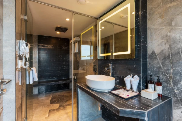 hotel with party hall in candolim, goa - regenta place mars candolim