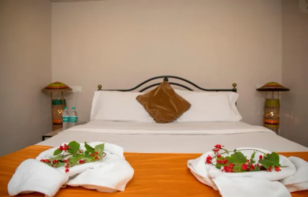 pet friendly resort in calangute beach, goa - scirocco resort