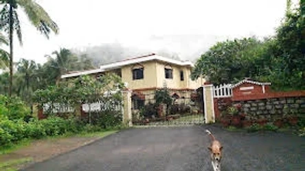 homestay in north goa, goa with swimming pool - the enchanting nest goa