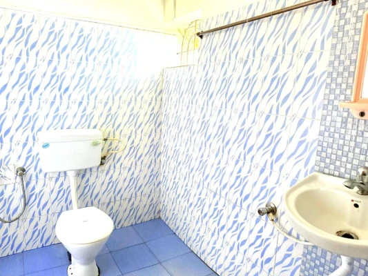 pet friendly homestay in canacona, goa - village harmony stay