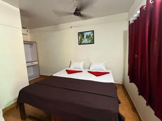 homestay in canacona, goa with food - village harmony stay