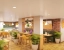 top hotels in bloom hotel cyber city gurugram gurugram
