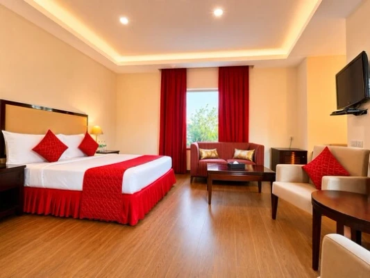 star hotels in hotel amber palace gurugram