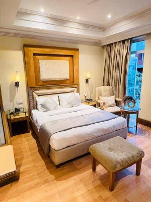 business hotels in hotel the luxotic suites gurugram