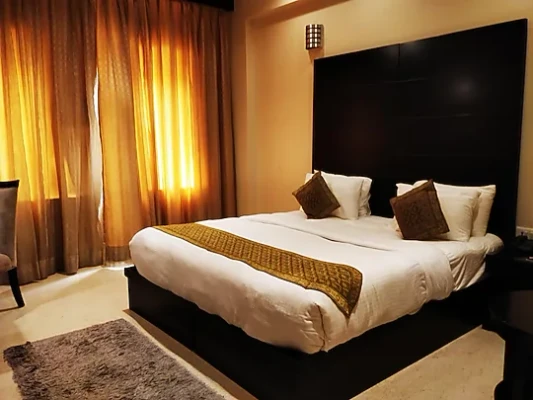 luxury hotel in trevon inn gurugram gurugram