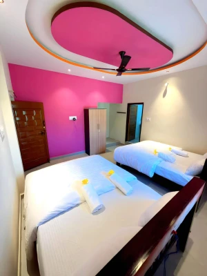 hotel with meeting room in hampi road, hampi - nargila palace