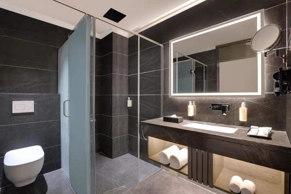 online room booking in lajpat nagar, hisar - lemon tree hotel hisar