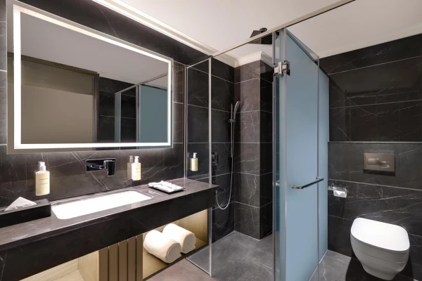 jacuzzi hotel in lajpat nagar, hisar - lemon tree hotel hisar