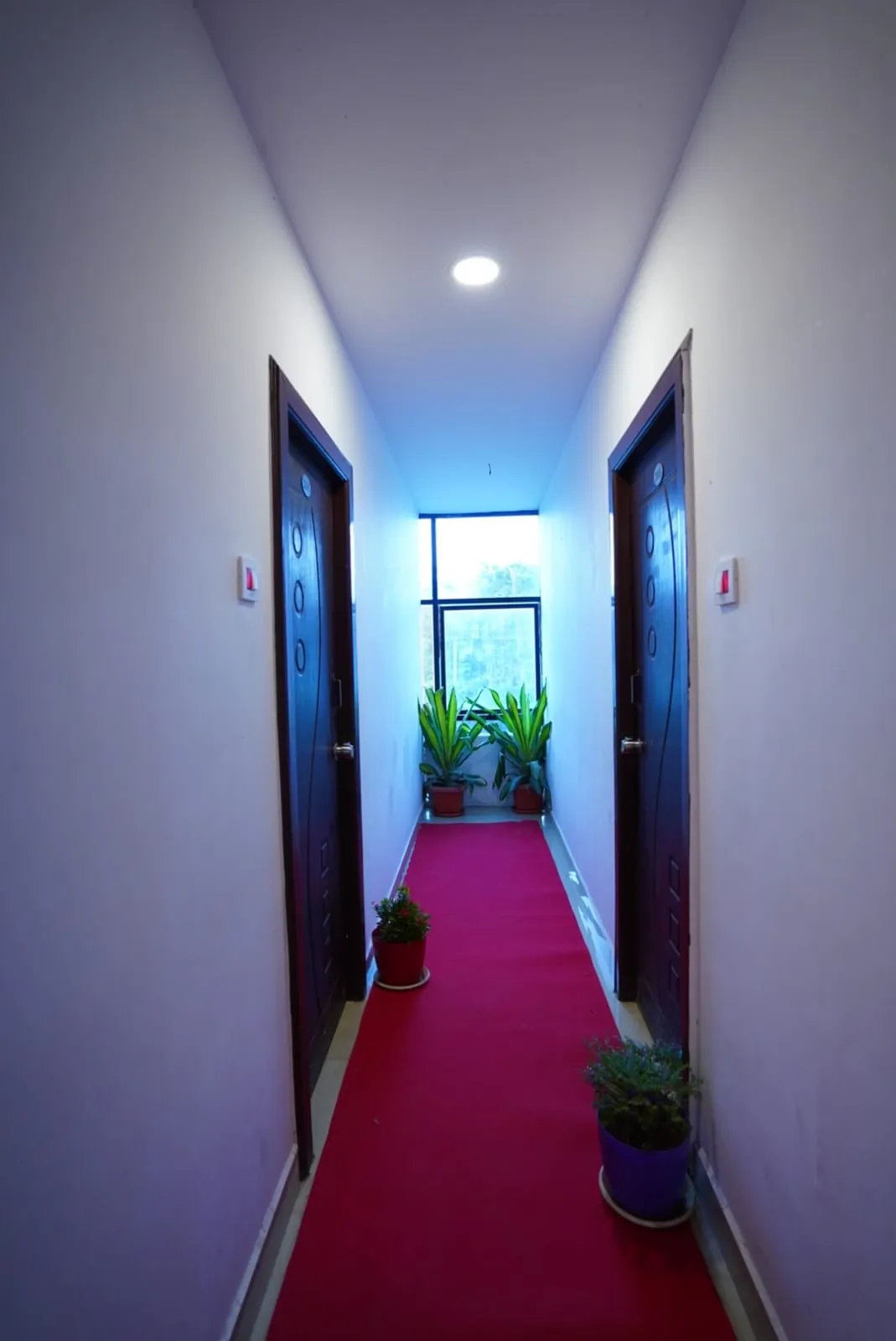 best romantic hotels in hotel green leaf hyderabad