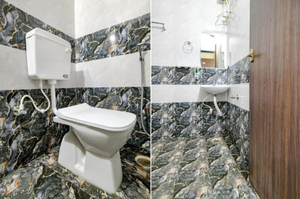 hotel stay in hotel dr greens indore
