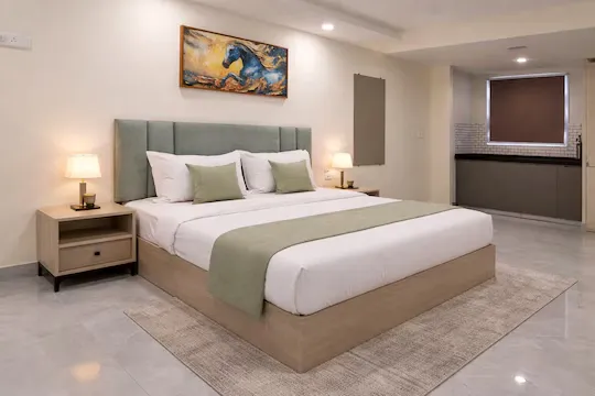 24 hours check in hotels in opo premier marvel jaipur