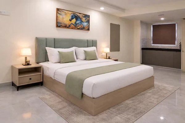 top hotels in opo premier marvel jaipur