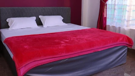 homestay in church road, kattappana with food - grace & joy homestay