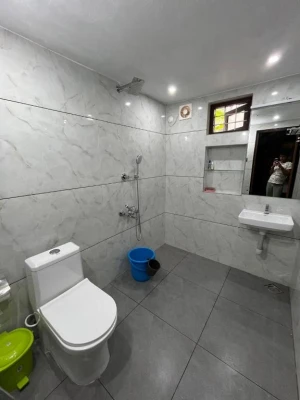 pet friendly homestay in chungam, kottayam - writer’s inn homestay