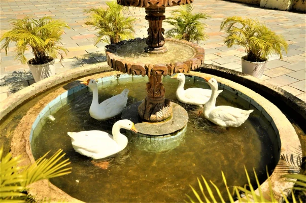 Homestay in kelwara, kumbhalgarh with Private Pool - alcor spa resort