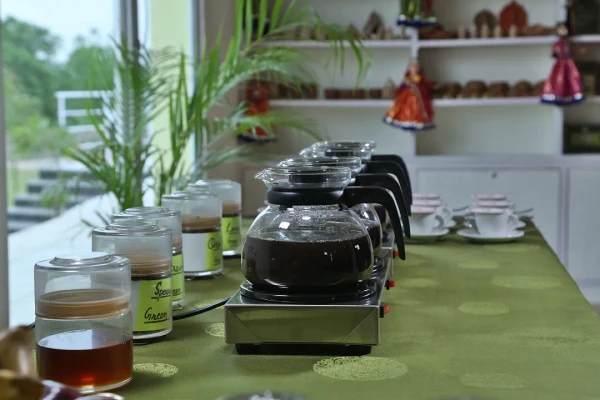 kelwara, kumbhalgarh Homestay in forest - alcor spa resort