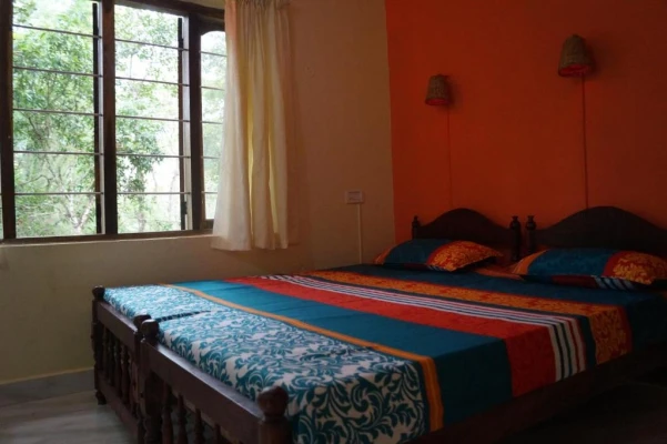homestay with activities in thekkady, kumily - jungle paradiso