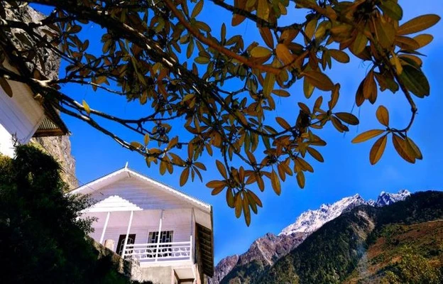 best resort in le coxy resort, lachung with activities - summit alpine resort, lachung