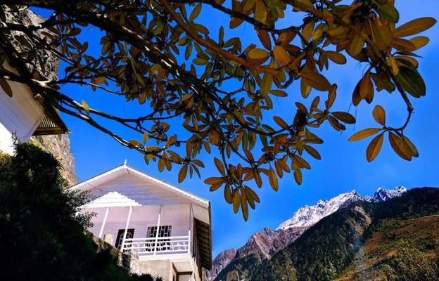 le coxy resort, lachung forest resort - summit alpine resort, lachung
