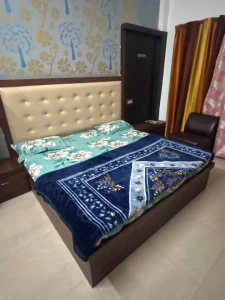 ahmamau, lucknow hotel booking - hotel cz inn