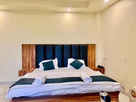 day time hotels in hotel shree krishna palace lucknow