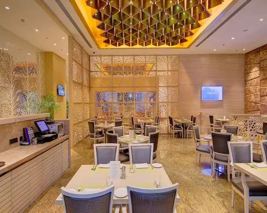 hotel with swimming pool in andheri east, mumbai - niranta airport transit hotel & lounge - t2 arrival landside