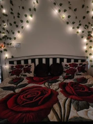 homestay in antop hill, mumbai below 1000 - the love nest homestay